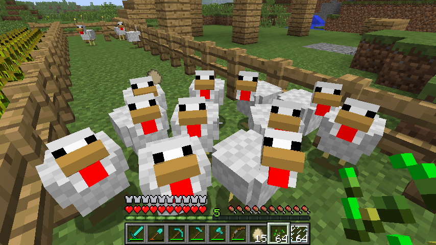 Minecraft dokarmianie kurczaków